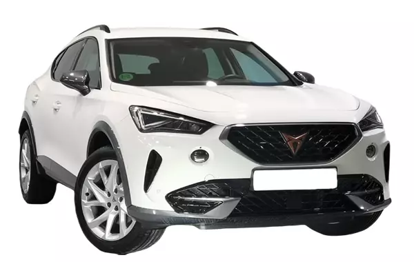 imagen Cupra Formentor 1.5 TSI 150CV TECH-64