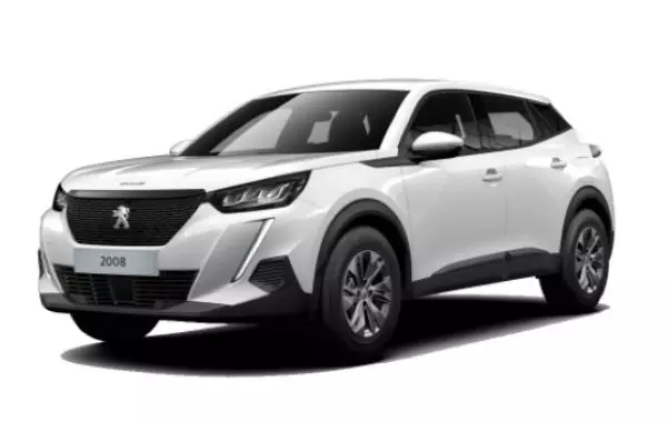 imagen Peugeot 2008 V2-38