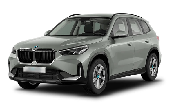 imagen BMW X1 xDrive25e-10