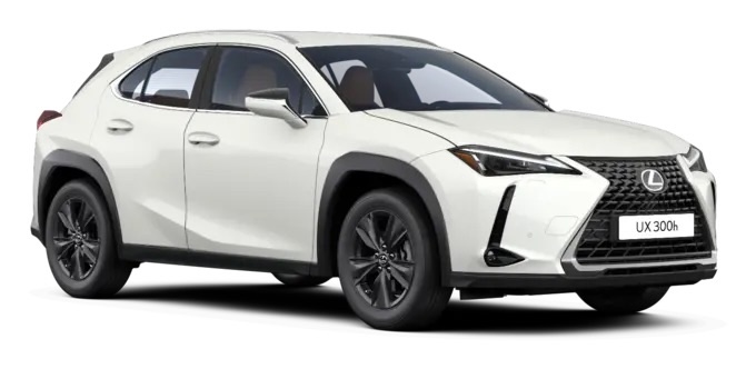 imagen Lexus UX Plus 300h -23