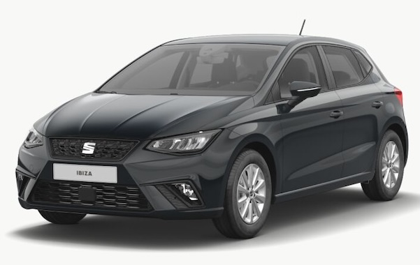 imagen Seat Ibiza 1.0 Reference SALTA-42